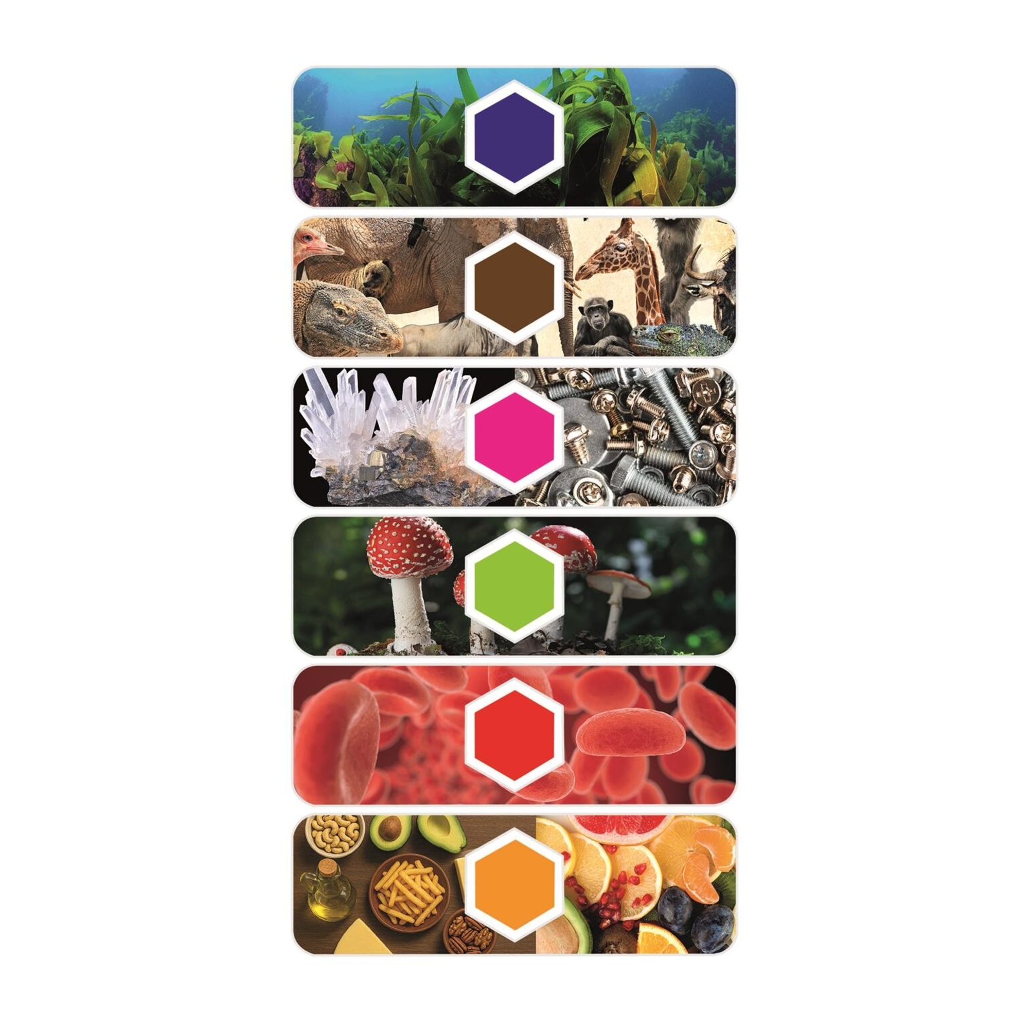 Clementoni - explorer scope - microscopio interattivo con a.i. e telecamera wifi - 19387 - CLEMENTONI