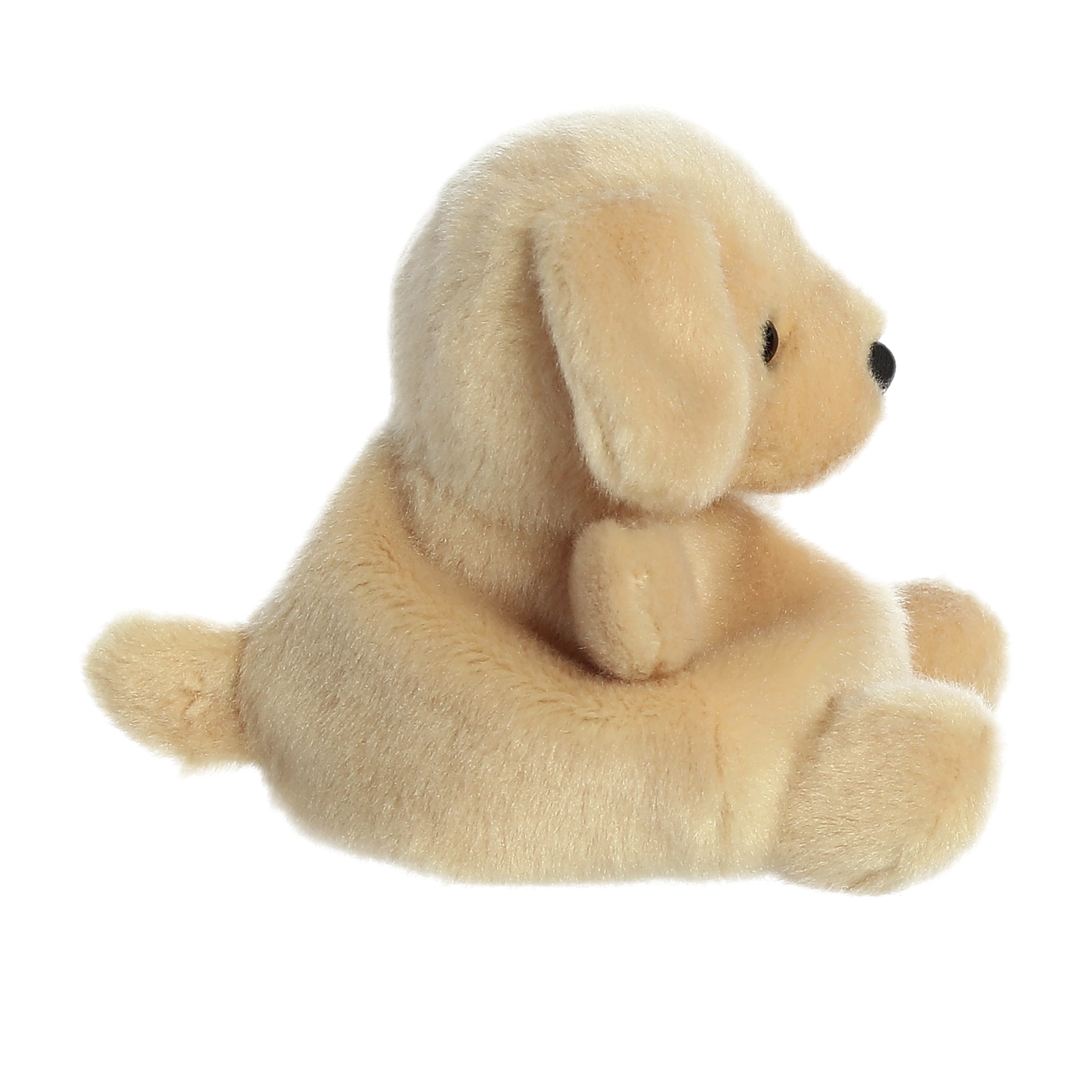 Palm pals – labrador 10 cm - AMI PLUSH