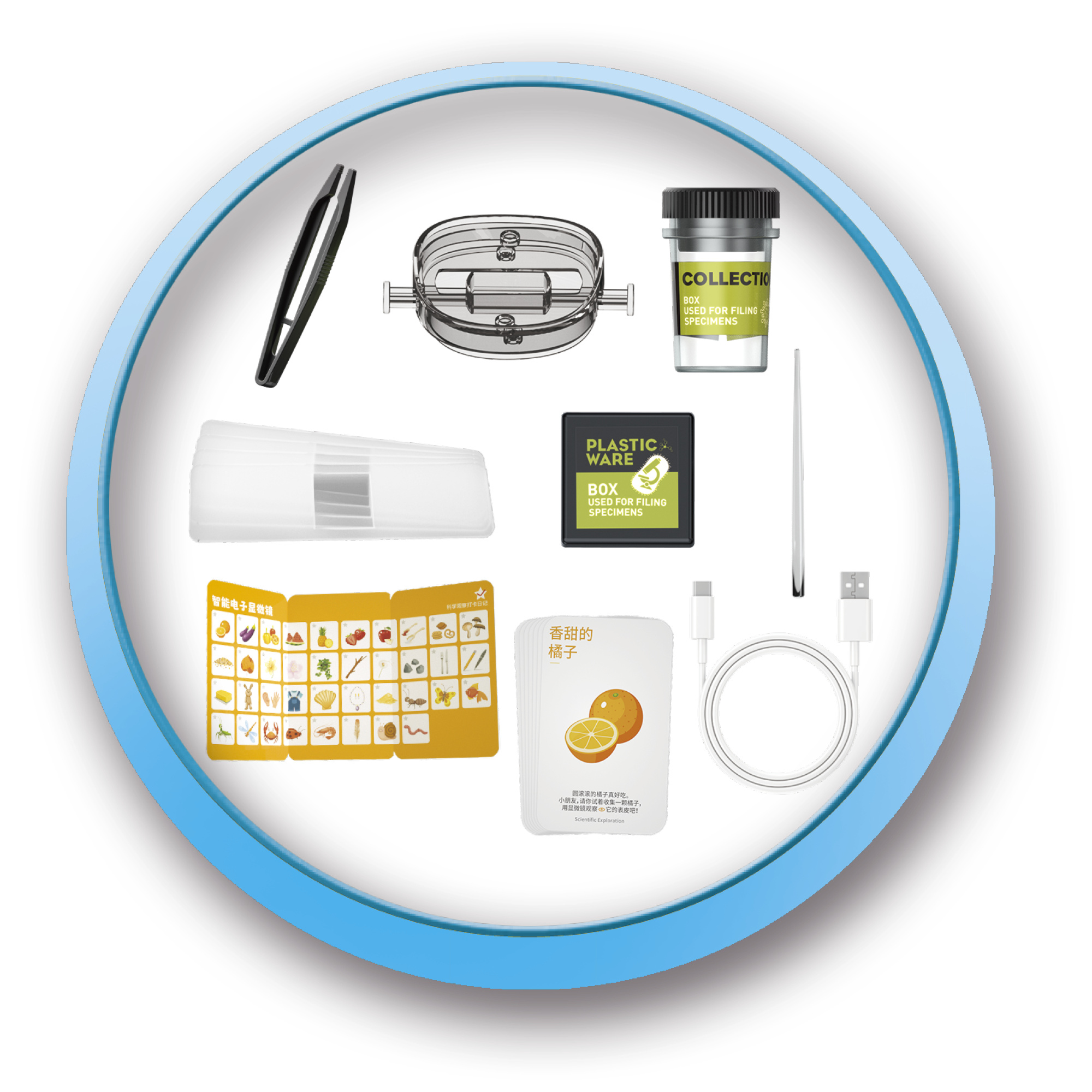 Microscopio portatile lcd – ingrandimenti fino a 1000x con accessori - MICRO PLANET