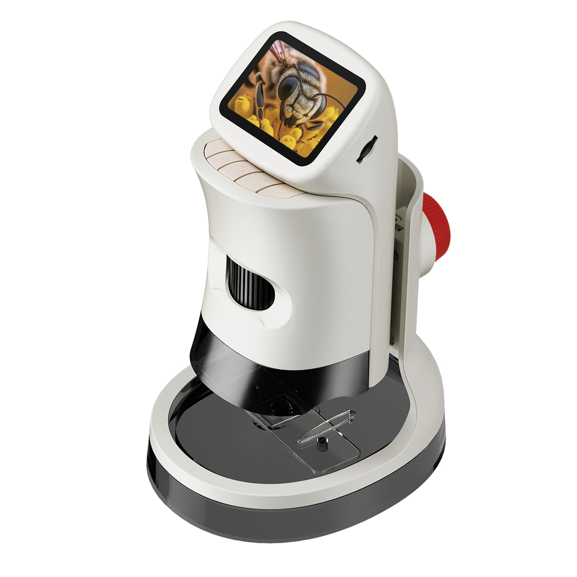 Microscopio portatile lcd – ingrandimenti fino a 1000x con accessori - MICRO PLANET