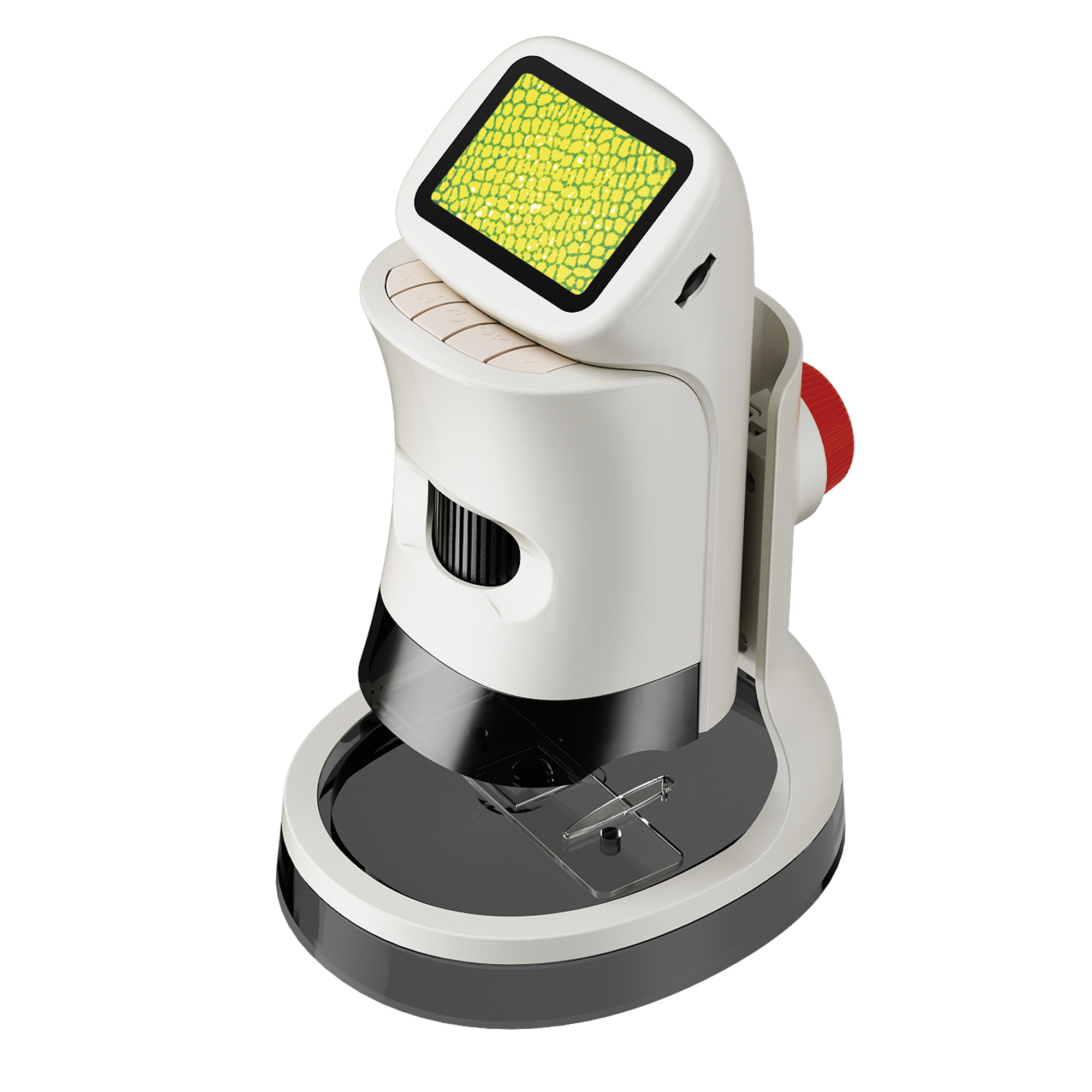 Microscopio portatile lcd – ingrandimenti fino a 1000x con accessori - MICRO PLANET