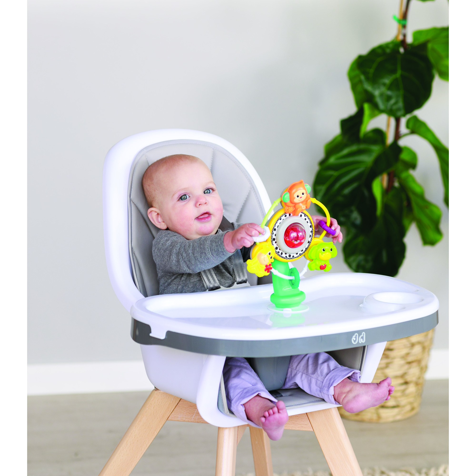 Centro attivita' con ventosa - INFANTINO