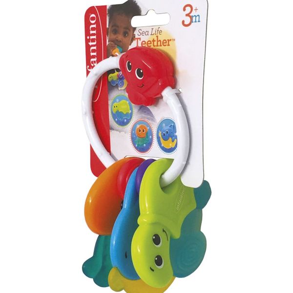 Dentaruolo - animali marini - INFANTINO