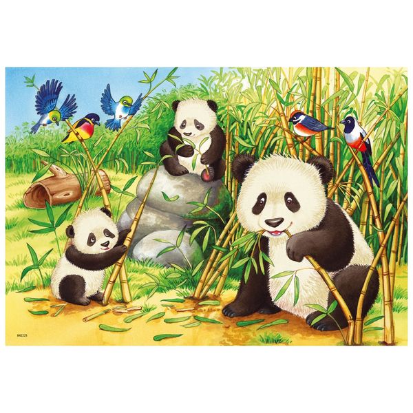 Ravensburger - puzzle 2x24 pezzi - dolci koala e panda - RAVENSBURGER