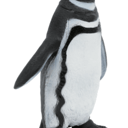 Animal world - sea collection - ANIMAL WORLD