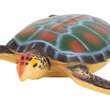 Animal world - sea collection - ANIMAL WORLD