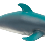 Animal world - sea collection - ANIMAL WORLD