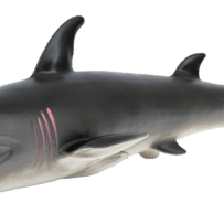 Animal world - sea collection - ANIMAL WORLD