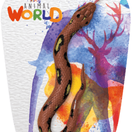 Serpente elastico - ANIMAL WORLD