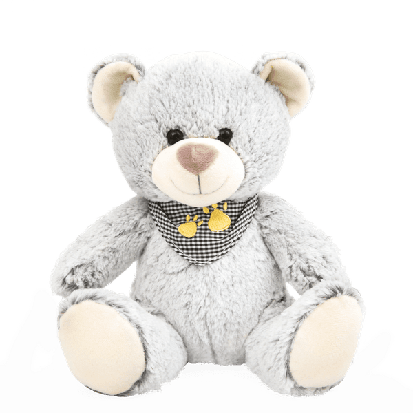 Orsetto peluche - AMI PLUSH