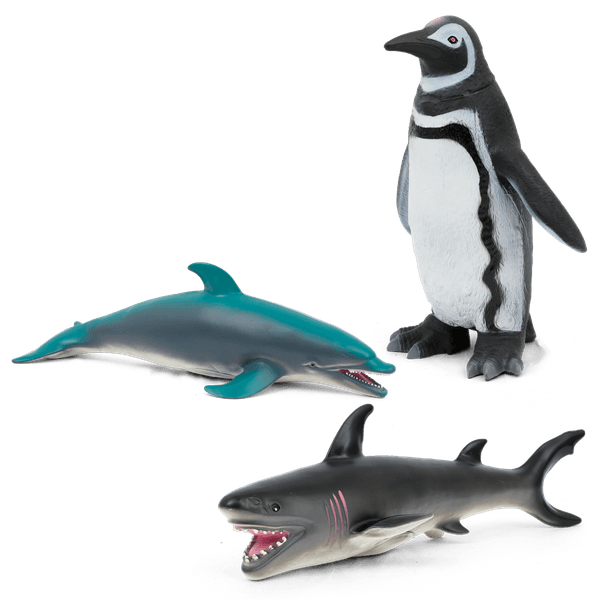 Animal world - sea collection - ANIMAL WORLD