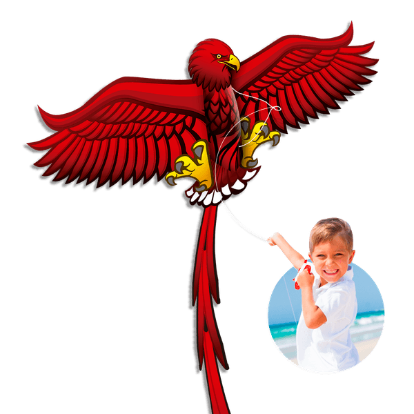 Aquilone farfalla - aquilone aquila - SUN&SPORT