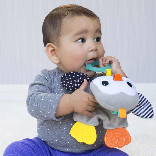 Dentaruolo pinguino - INFANTINO