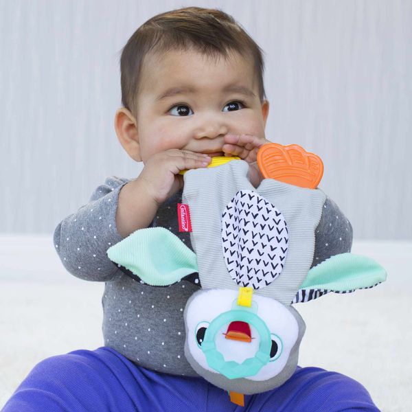 Dentaruolo pinguino - INFANTINO