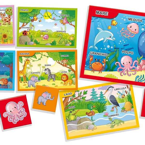Carotina quadrotte animali e ambienti - LISCIANI