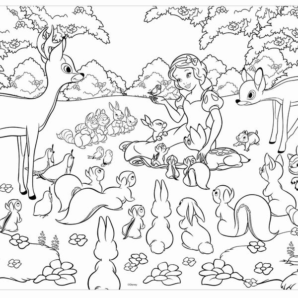 Disney puzzle df maxi floor 60 snow white - DISNEY PRINCESS, LISCIANI, Disney