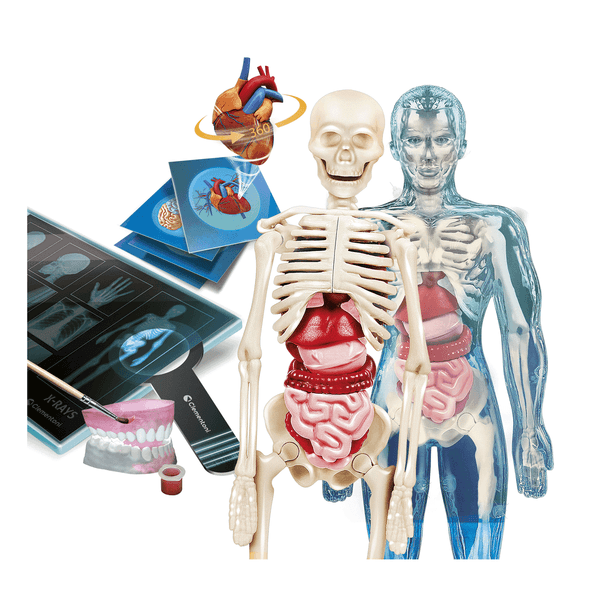 Clementoni - scienza e gioco lab - anatomia super, laboratorio scientifico - CLEMENTONI, Scienza e Gioco