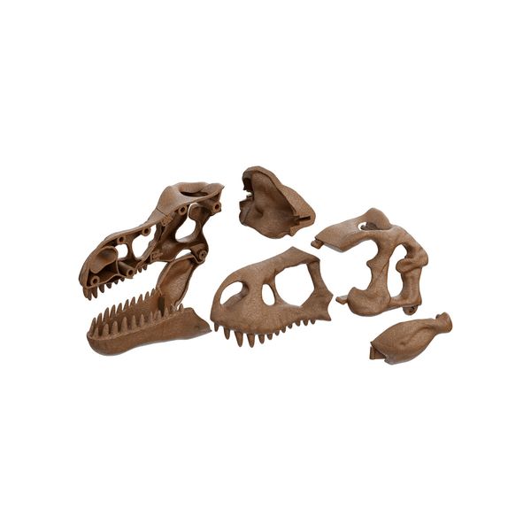 Clementoni - 19324 - archeogiocando kit t-rex 2in1 - CLEMENTONI, Scienza e Gioco