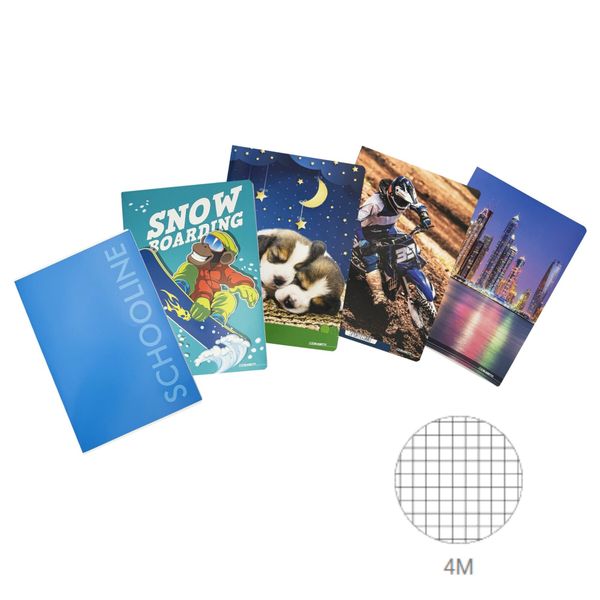 Confenzione 5 quaderni a4 maxiq - rigatura 4m - quadretti piccoli - BLASETTI