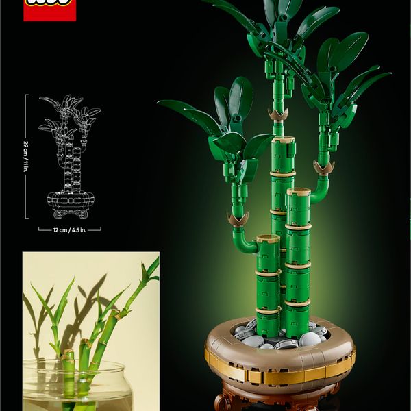 Lego botanicals 10344 bambù del buon auspicio, pianta artificiale da arredamento con vaso finto, regalo donna, uomo e adulti - LEGO ICONS BOTANICAL, LEGO, LEGO ICONS