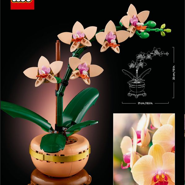 Lego botanicals 10343 mini-orchidea, fiori finti da costruire, botanical collection per adulti, idea regalo per donna o uomo - LEGO ICONS BOTANICAL, LEGO, LEGO ICONS