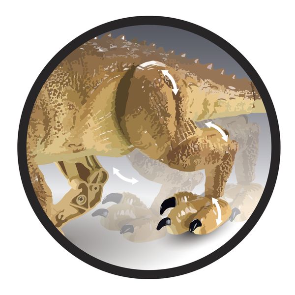 Velociraptor r/c - 
