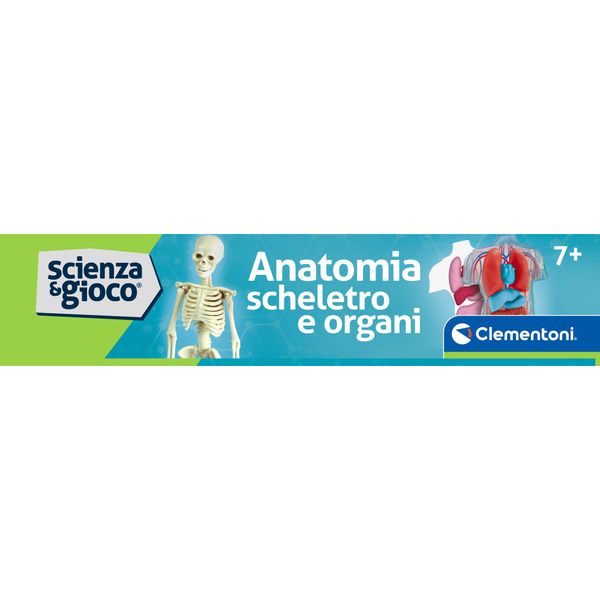 Clementoni scienza & gioco anatomia scheletro e organi 19414 – kit educativo anatomia umana - CLEMENTONI