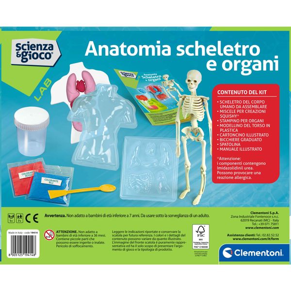 Clementoni scienza & gioco anatomia scheletro e organi 19414 – kit educativo anatomia umana - CLEMENTONI