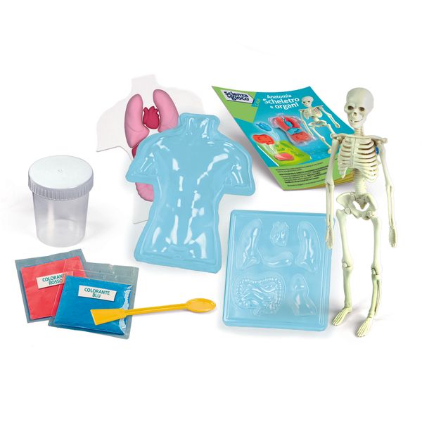 Clementoni scienza & gioco anatomia scheletro e organi 19414 – kit educativo anatomia umana - CLEMENTONI