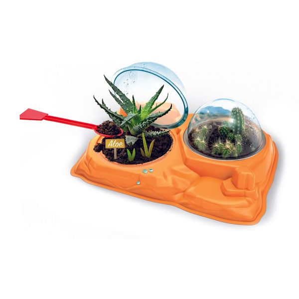 Clementoni scienza & gioco botanica delle piante grasse 19422 – gioco educativo botanica - CLEMENTONI