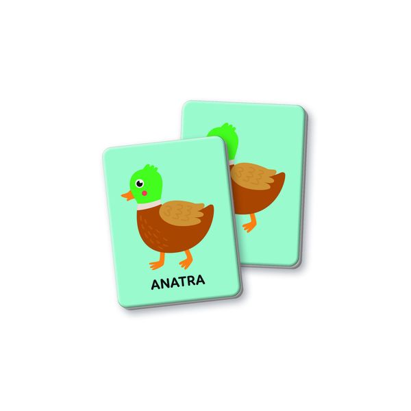 Clementoni - montessori flashcards baby - primo memo - 16830 - SAPIENTINO