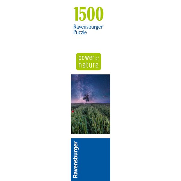 Ravensburger puzzle campo stellato - 1500 pezzi - paesaggio notturno 80x60cm - RAVENSBURGER