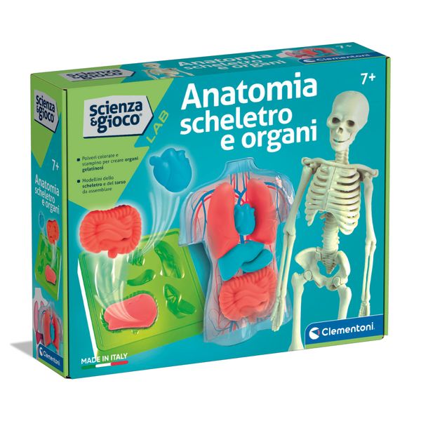 Clementoni scienza & gioco anatomia scheletro e organi 19414 – kit educativo anatomia umana - CLEMENTONI