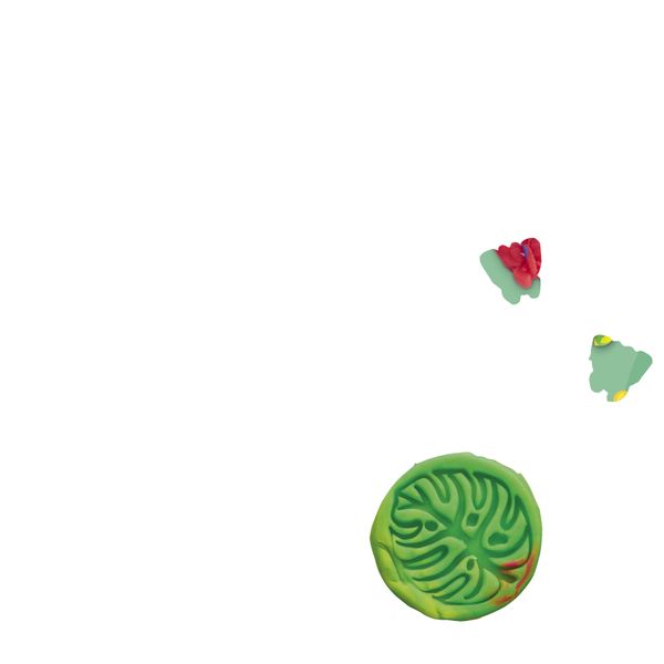 Play-doh microscopio delle meraviglie illumina l'esplorazione scientifica! include 9 accessori e 5 vasetti di pasta modellabile - PLAY-DOH