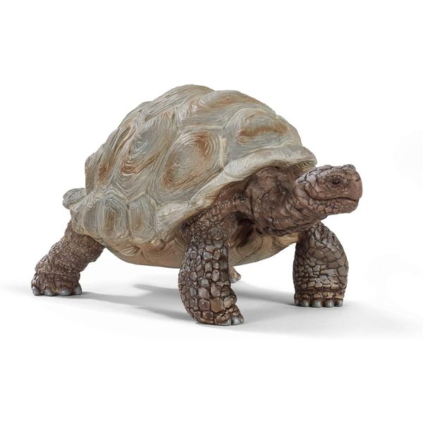Tartaruga gigante - schleich - Schleich