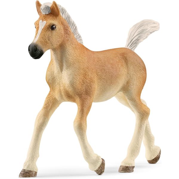 Puledro avelignese - schleich - Schleich