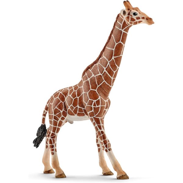 Giraffa, maschio - schleich - Schleich