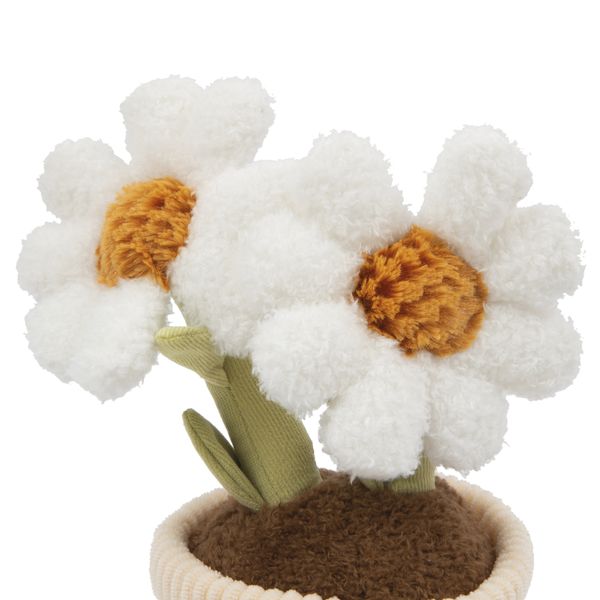 Piante peluche 26cm - cactus o  margherita - AMI PLUSH