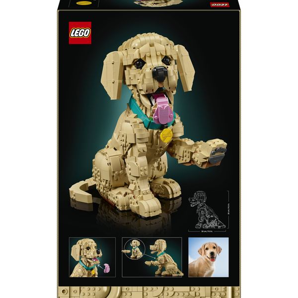 Lego 11384 cucciolo di golden retriever - LEGO