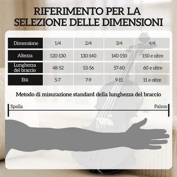 Violino 4/4 in legno di abete e acero con custodia, arco, spalliera e pece, nero - 