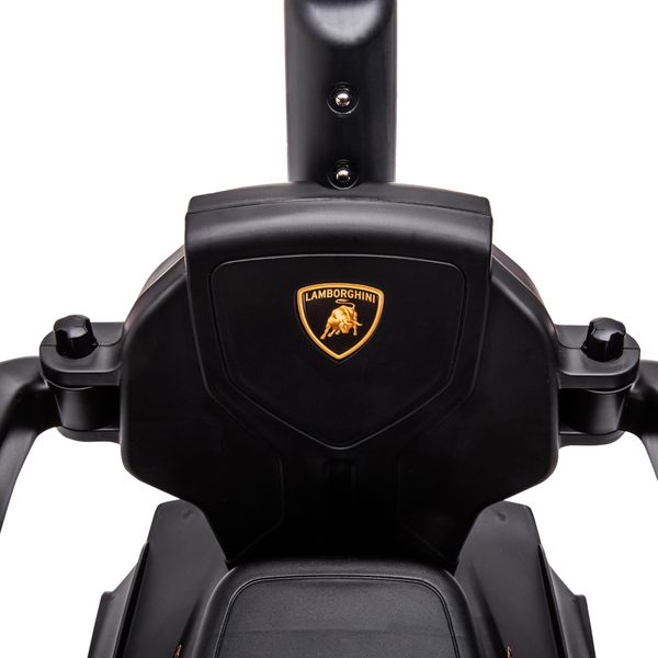 Macchinina lamborghini ufficiale 2 in 1 con maniglione e barriera di sicurezza, verde/nero, 12-36 mesi - 
