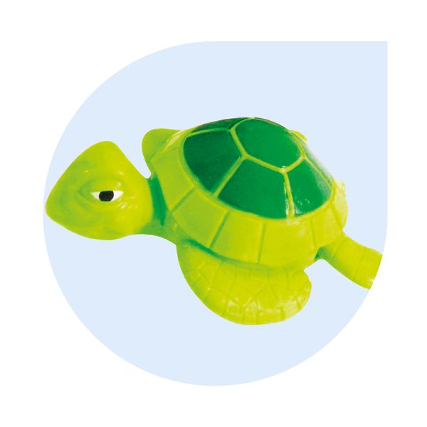 Swimming animals - sun&sport - SUN&SPORT