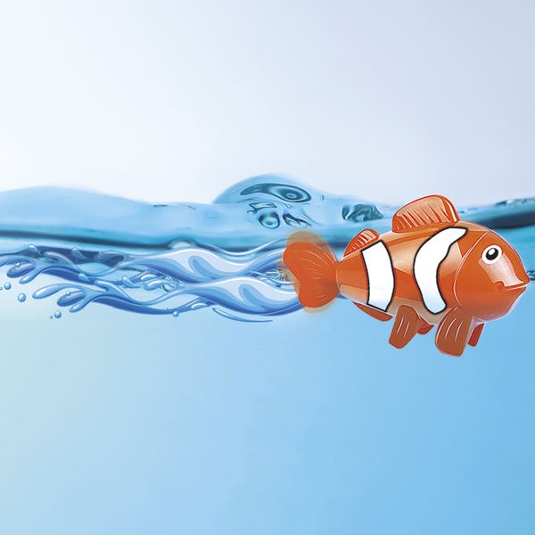 Swimming animals - sun&sport - SUN&SPORT