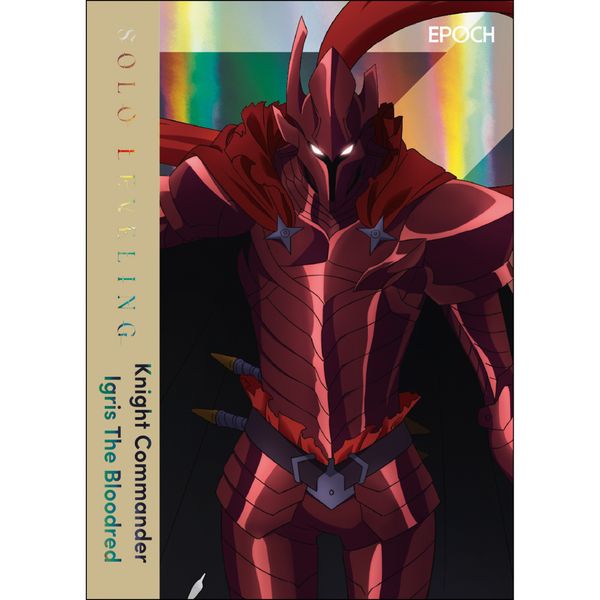Epoch con-x solo leveling trading card set - NO BRAND