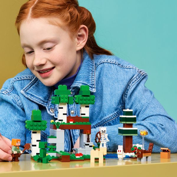 Lego minecraft avventura della prima notte - 21593 - MINECRAFT, LEGO