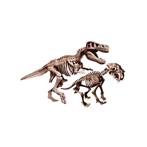 Clementoni - 19394 - archeogiocando - t-rex e smilodon 2in1 - CLEMENTONI, Scienza e Gioco