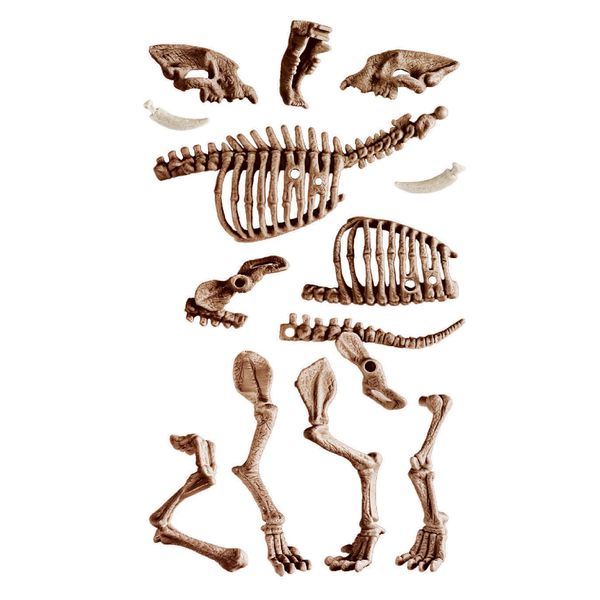Clementoni - 19394 - archeogiocando - t-rex e smilodon 2in1 - CLEMENTONI, Scienza e Gioco