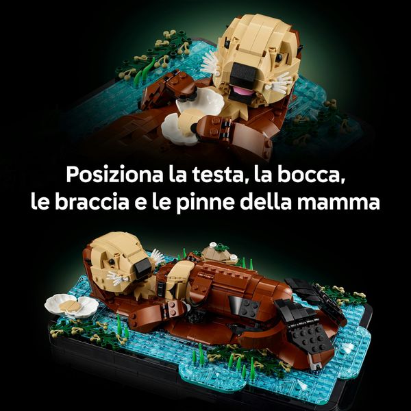 Lego ideas 21366 lontre marine - LEGO IDEAS