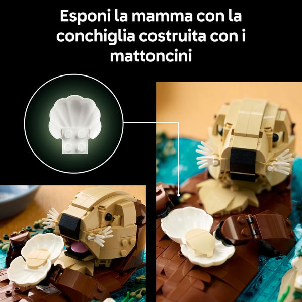 Lego ideas 21366 lontre marine - LEGO IDEAS