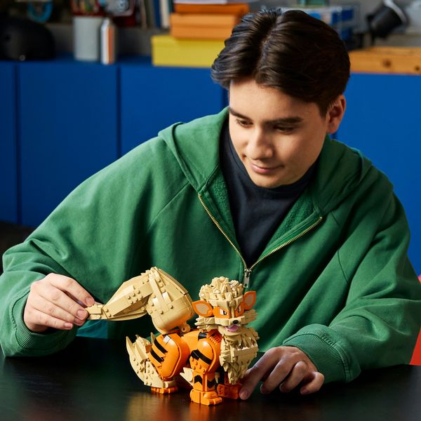 Lego pokémon arcanine - 72160 - POKEMON